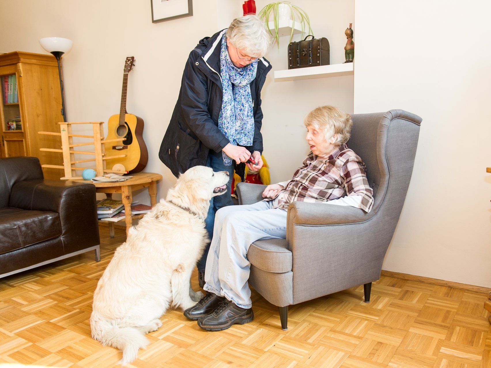 Eine alte Frau sitzt in einem Sessel und bekommt besuch von einem Hund (das Frauchen steht daneben und passt auf)